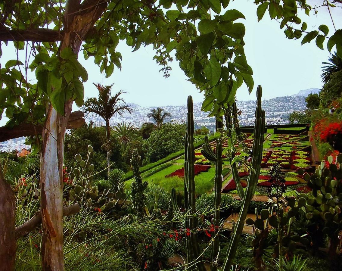 Apartment - The Historical Center Of Funchal In Alojamento Local Exterior foto