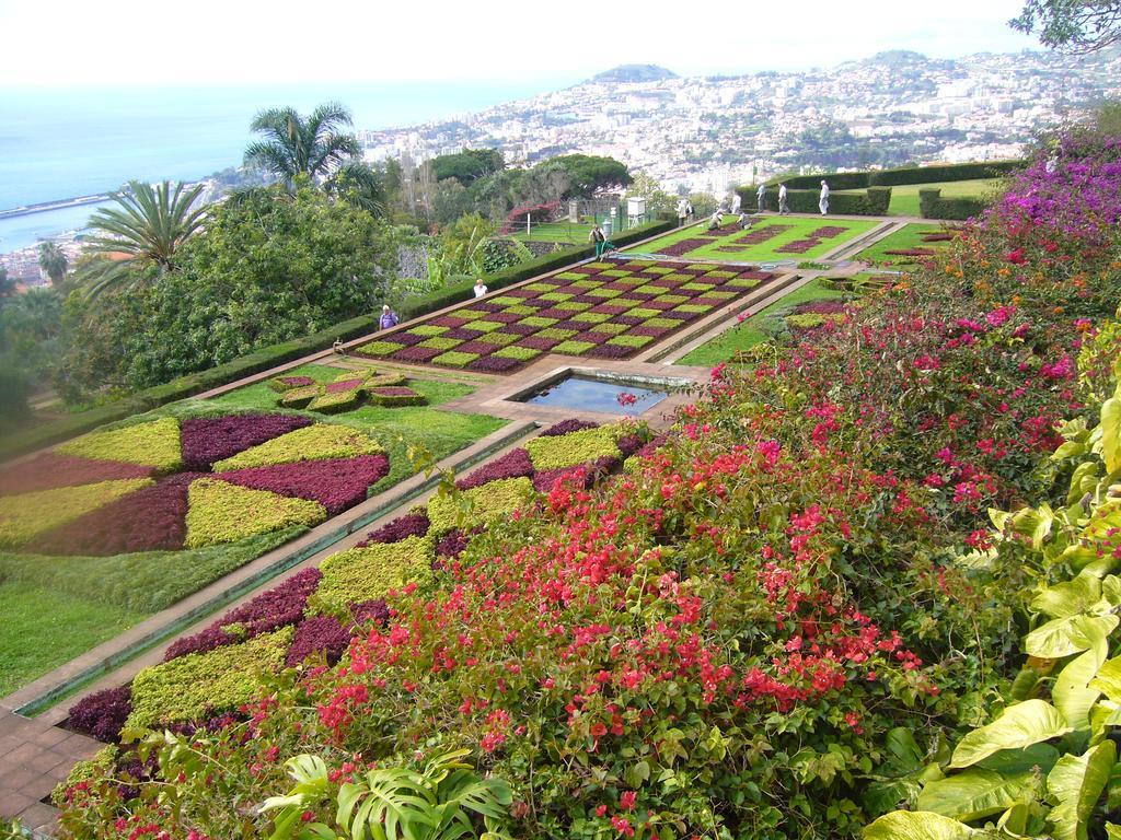 Apartment - The Historical Center Of Funchal In Alojamento Local Exterior foto