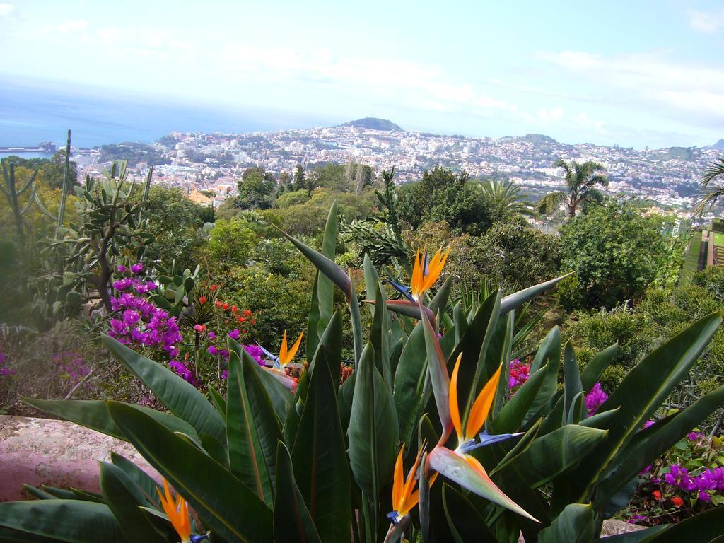 Apartment - The Historical Center Of Funchal In Alojamento Local Exterior foto
