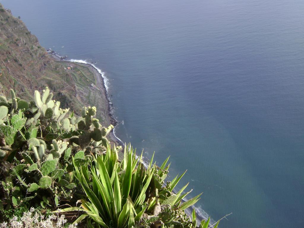 Apartment - The Historical Center Of Funchal In Alojamento Local Exterior foto
